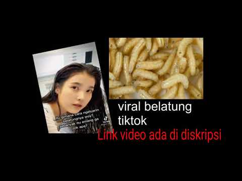 viral tiktok cewek belatung