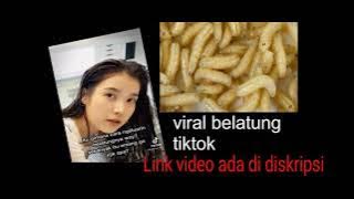 viral tiktok cewek belatung