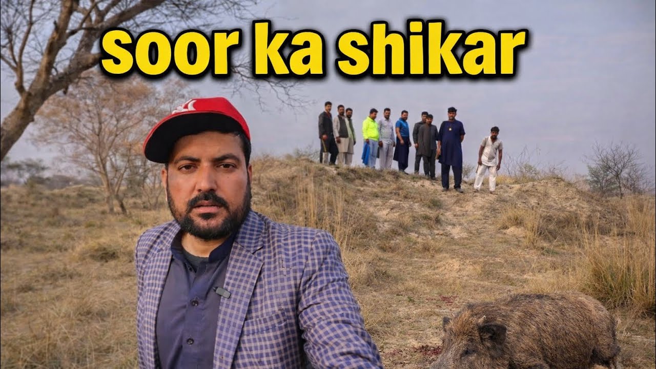 Ghunda Village Main Soor Ka Shikar | 30 Kuty Soor Pakarne Aaye | Wild Boar Hunting Pakistan