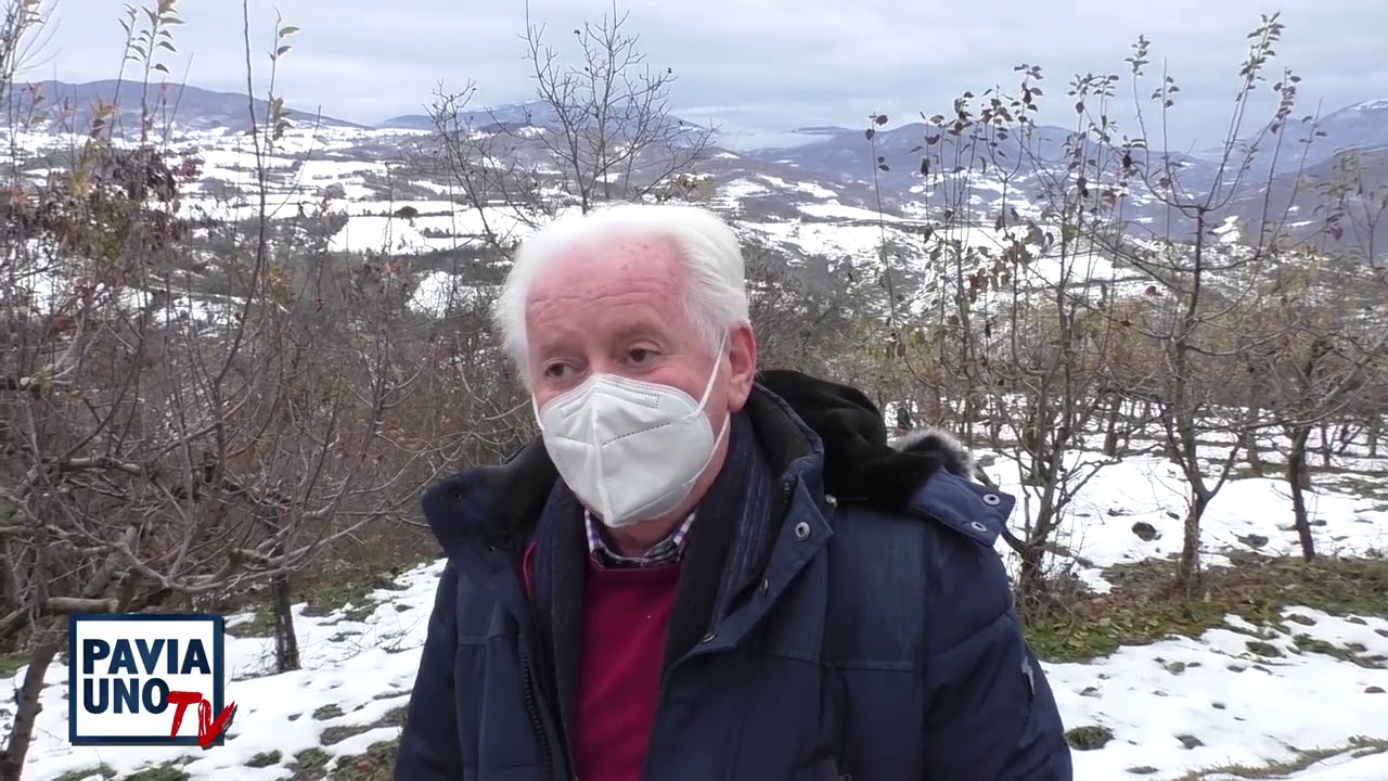 IL LUPO IN VALLE STAFFORA - SERVIZIO DI REMO TAGLIANI