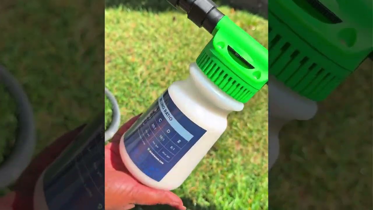 The Fastest Way to Get Rid of Pet Urine Odors Outside