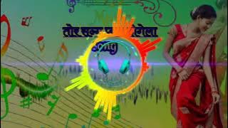 Chhattisgarhi song 🕺Tor sang  pyar hoge na dj remax music 🎶