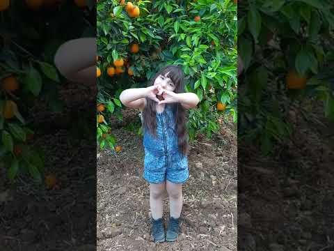 عيد عمال سعيد