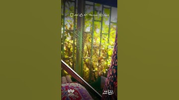 ما تيسر من سورة العنكبوت عبدالرحمن مسعد - Surat Al-Ankabût Abdul Rahman Massad
