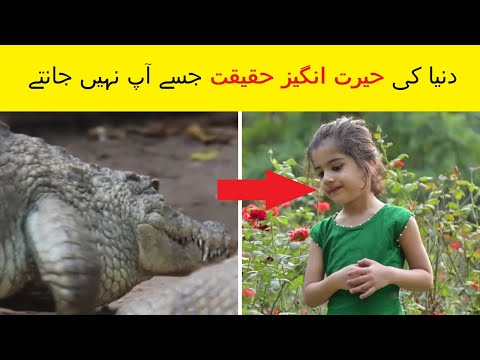 10 Amazing Facts About World || دنیا کے بارے میں 10 حیرت انگیز حقائق || Reveal Tv