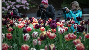 Lightroom Content Aware Remove   HD 1080p