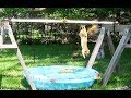 Wipeout! Kind of, with Squirrels and their Swimming Pool