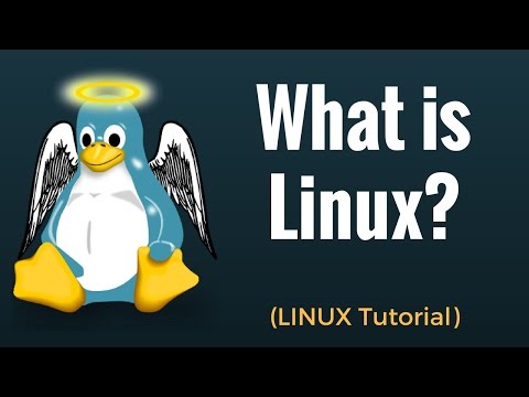 Video: Wat moet ek leer na Linux?