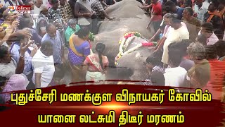 LIVE: புதுச்சேரி மணக்குள விநாயகர் கோவில் யானை லட்சுமி திடீர் மரணம் || Elephant Death || Pondicherry