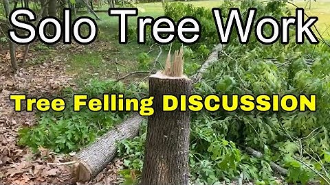 Tree Felling in a Tight Spot EXPLAINED | Arborist Tree Removal