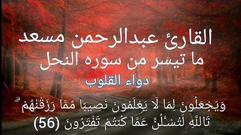 القارئ عبدالرحمن مسعد سورة النحل تلاوة بصوت نقي عذب "ويجعلون لما لا يعلمون نصيبا مما رزقناهم"