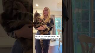 Less Boredom, Less Chaos. More Peace At Home