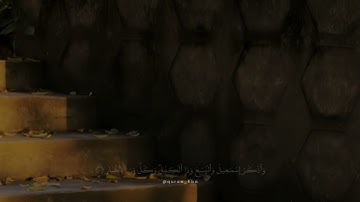 إنا وجدناه صابرا نعم العبد إنه أواب || سورة ص القارئ  محمد النقيدان || راحة نفسية - قران بصوت جميل 🖤