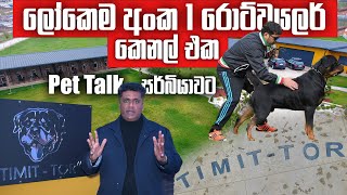 ලෝකෙම හොල්ලපු රොට්වයලර් කෙනල් එක සොයා Pet Talk සර්බියාවට  World No.1 Rottweiller Kennel #timitTor