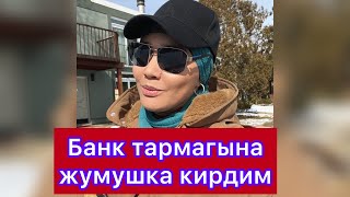 Менин банк тармагынан жумуш таптым / Канча убакытта жумуш тапса болот / Наркотикке каршы тест оттум