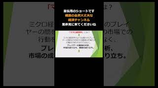 宣伝用／マクロ経済学用語解説.6 #マクロ経済学 #mmt #織原の経済学のメモ