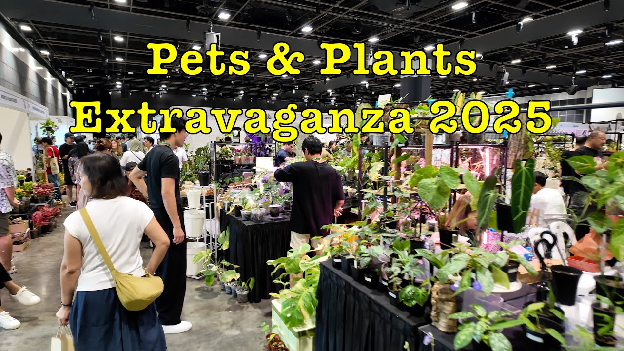 Pets & Plants Extravaganza 2025 #singapore #exhibition #suntec #pets #plants #dogs #cat #bazaar