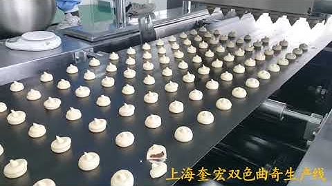 Cookie encrusting machine /three color encrusting cookie making machine