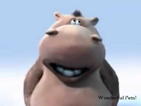 happy-birthday-song-hippo-&-dog-funny(khi-boyz)