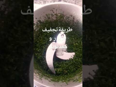 تجفيف قزبر و معدنوس