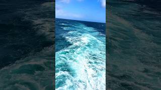 Sea 🌊 View ⛴️⚓️ #navigation #merchantnavy #seamanstory #youtubeshorts #shortsfeed #viralvideo #sea