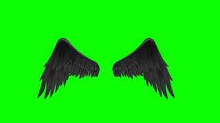 Effect Green Screen Black bird wings / sayap burung hitam