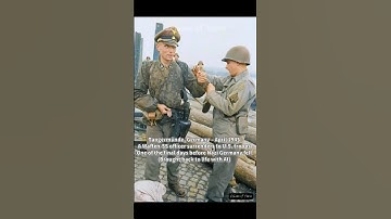 Waffen-SS Officer Surrenders to US Army – Germany 1945 #ww2 #ww2stories #wwii #shorts #echoesoftime