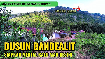 MASUK KEDALAM HUTAN TERNYATA ADA KAMPUNG KECIL DEKAT PESISIR PANTAI BANDEALIT JEMBER