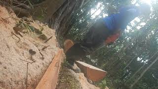 Cutting Wood with a Chainsaw Technique by Jaimie Stuff 3,176 views 3 months ago 14 minutes, 55 seconds