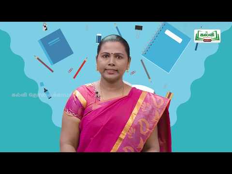 Class 10 | English | Unit 4 | Vocabulary | Compound Words | Tamil Medium | Kalvi TV