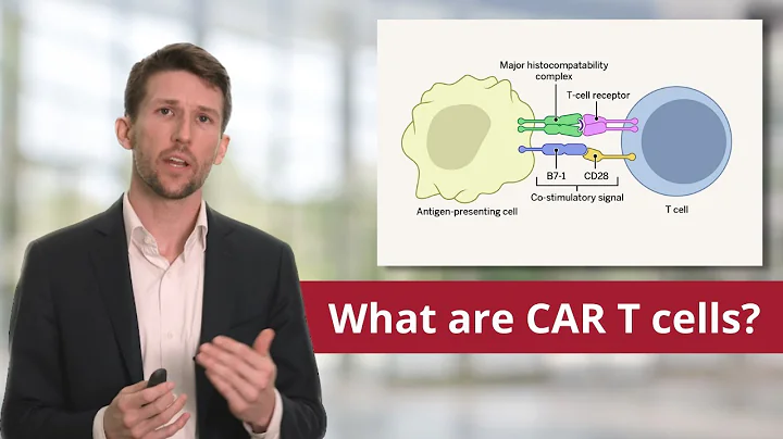 Lymphoma: Overview of Chimeric Antigen Receptor (CAR) T cells - DayDayNews