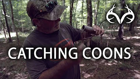 Roger Culpepper HOW TO catch coons