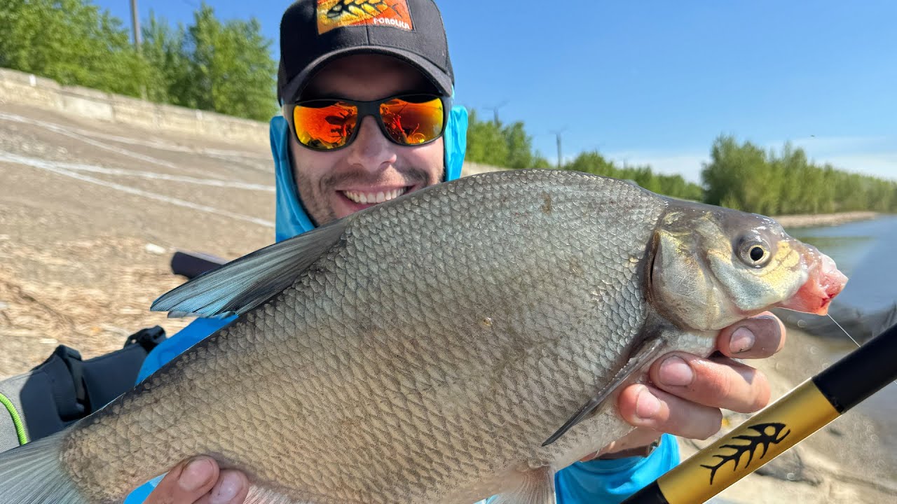 2500км в поисках ЗДОРОВЫХ ЛЕЩЕЙ! Фидерное турне, серия 1. Казань