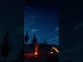 Cozy Fire Camp at Night 🌌🔥 #rdr2 #shorts