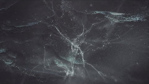 【Manami Sakamoto (VJ MANAMI) / Sakiko Osawa】Jeep Real Hybrid e-Creators