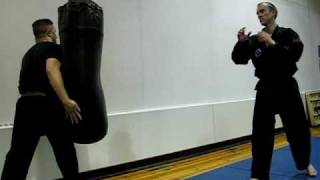GS Jumping Reverse Side Kick