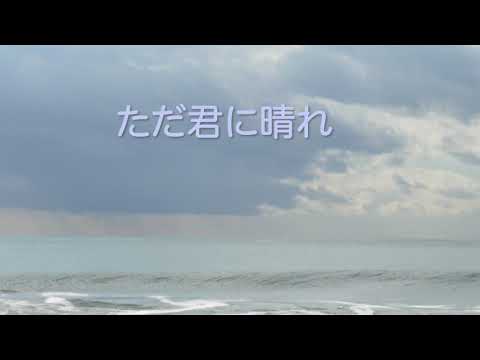 ただ君に晴れ /ヨルシカ covered by ごろだぬき【歌ってみた】