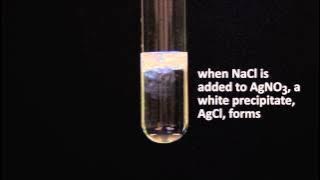 precipitation reaction (AgNO3   NaCl)