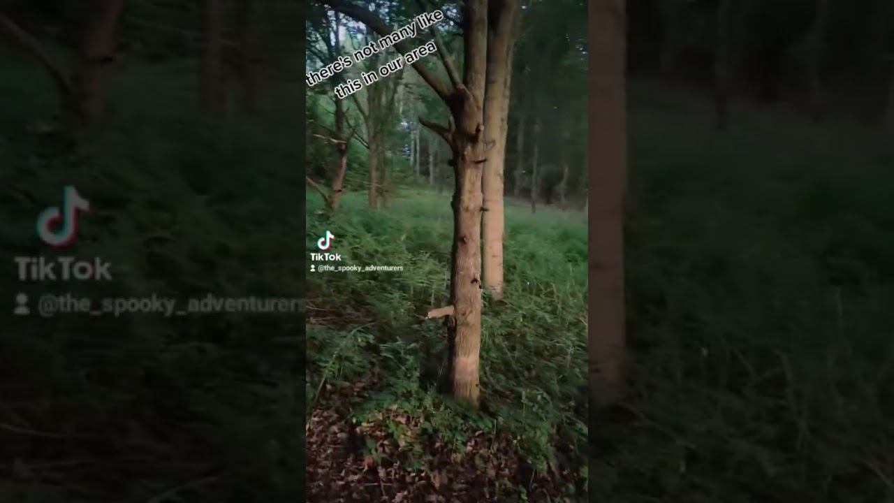 This was weirdly eerie 