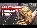 Подробно Объединение пчел в ноябре