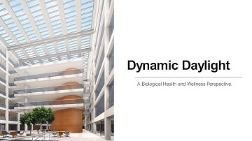 VELUX webinar with Deborah Burnett, Dynamic Daylight