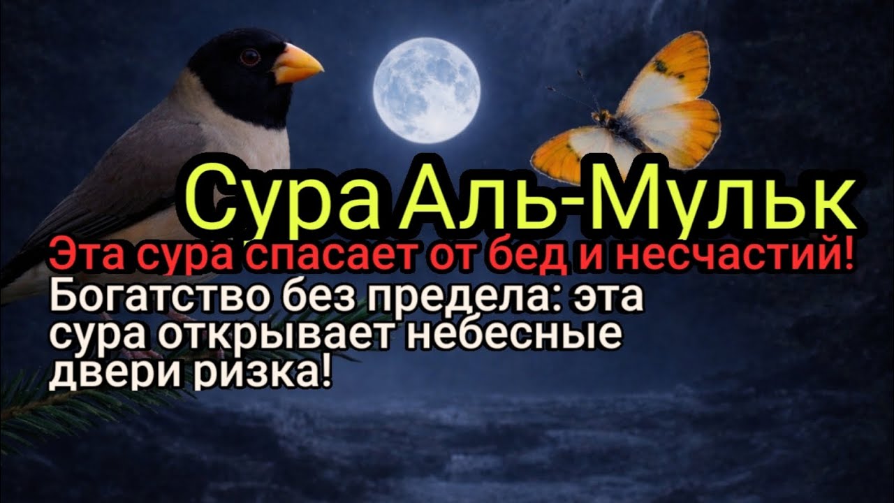 Богатство в каждый дом: слушай эту суру и получи баракат Аллаха!