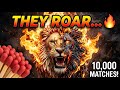 Burning 10,000 Matches: Animal Sculptures | Wait for This…