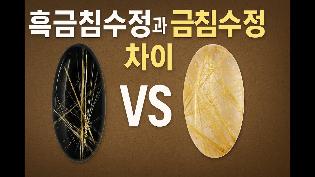 흑금침 VS 금침! 무슨 차이? - YouTube