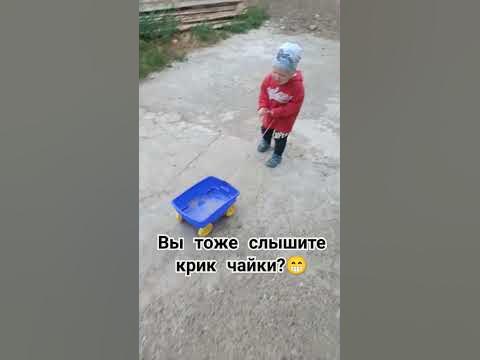 Ребенок кричит как чайка - YouTube