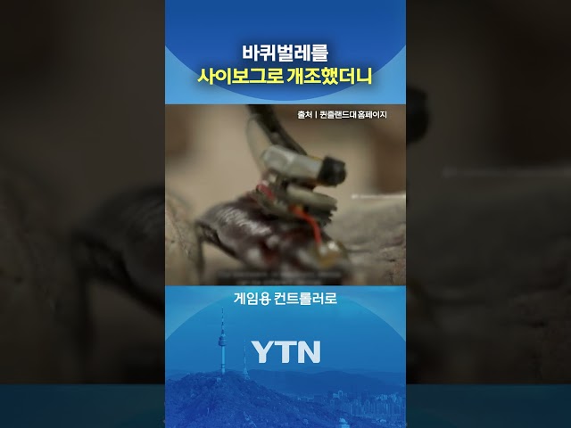 평범한 바퀴벌레 아니다 #shorts / YTN