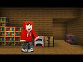 VERSTOPPERTJE in MINECRAFT met KIJKERS! Live