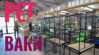 Pet Store Tour in Auckland, New Zealand | Birds | Fishes | Dogs | Tortoises | Lizards