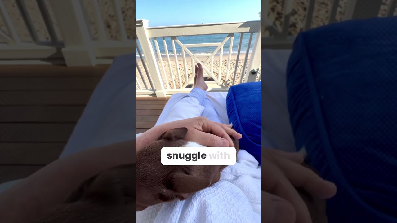 Video Image