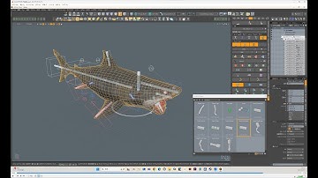 Rigging a Shark in ACS3